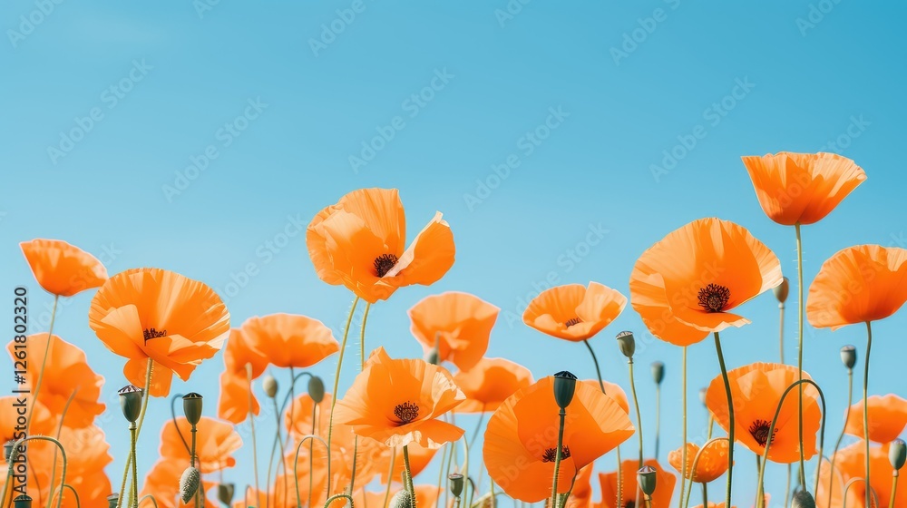 Obraz premium vibrant blue and orange header