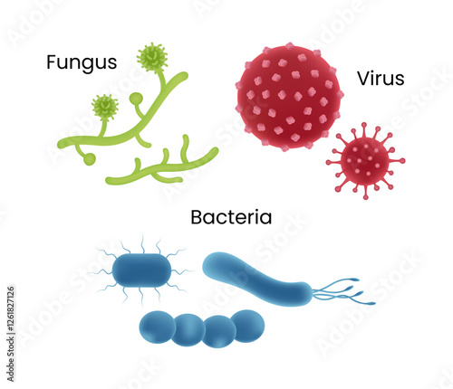 Microorganisms Fungi Viruses and Bacteria