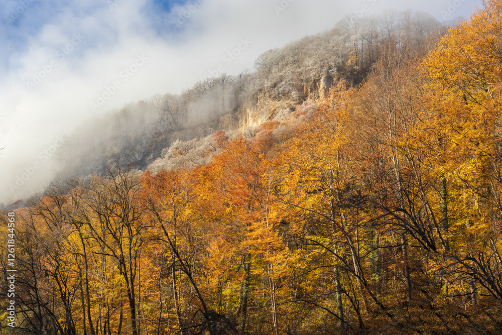 Fototapeta premium morning in a mountainous area, frost fell on the trees, the first rays of the sun awaken nature