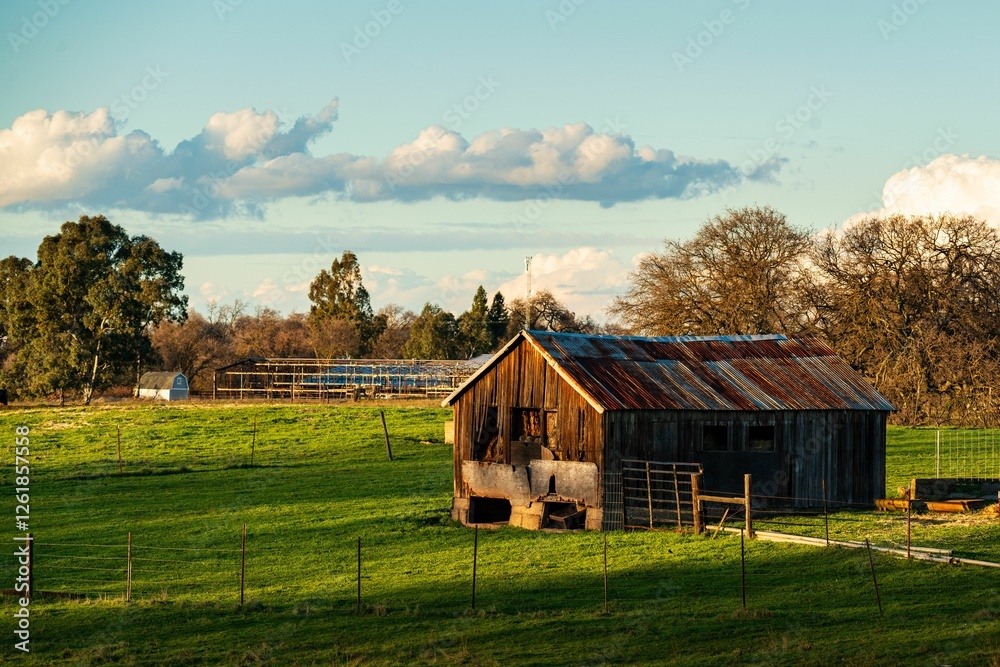 Obraz premium Rustic barn on a lush green field under a partly cloudy sky.