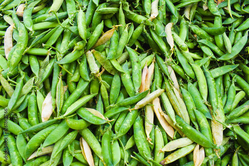 Fresh green sugar beans, Green pease, close-up, Fresh organic beans at an open air farmers market. photo