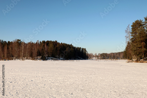 Wall Mural Winter
