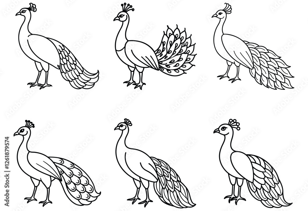 Obraz premium Peacock bundle line art vector