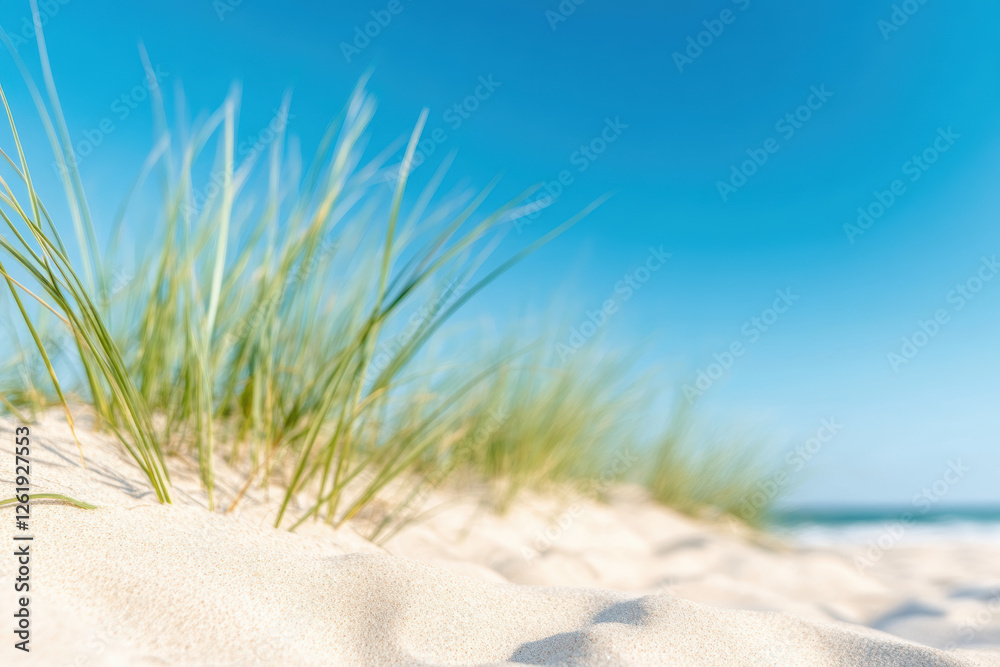 Sandy beach with grass and clear blue sky for a serene summer getaway Sandy beach with grass and clear blue sky for a serene summer getaway