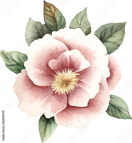 hand-painted blush pink rose floral blooming watercolor