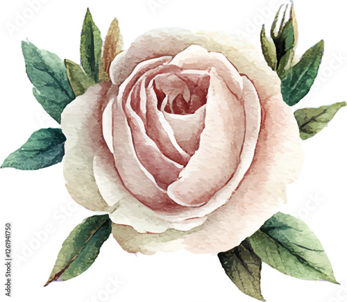 Watercolor Beige Rose with Green Leaves