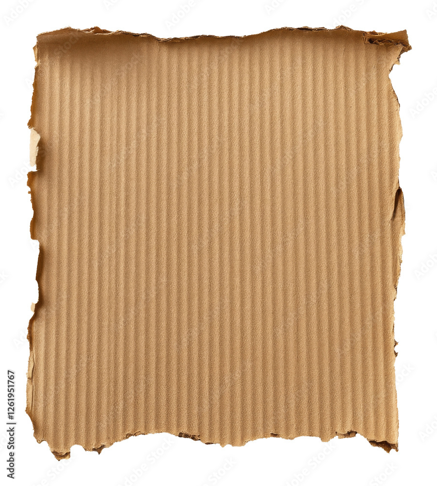 Fototapeta premium Torn piece of corrugated cardboard with textured surface and jagged edges, blank brown craft paper concept