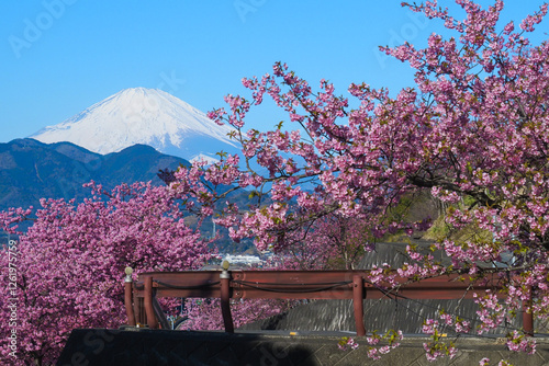 Japanese style is a unique blend of tradition and modernity, characterized by simplicity, elegance, and harmony with nature. It emphasizes minimalism, clean lines, and natural materials such as wood, 