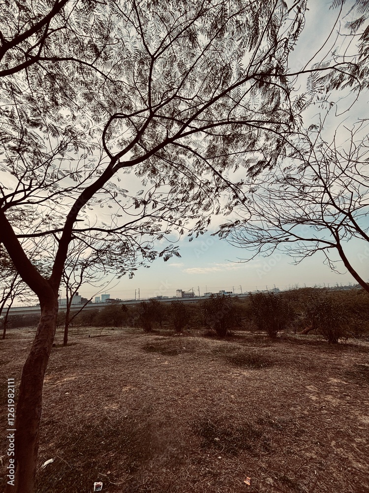Tranquil Landscape with Trees and Cityscape in the Background Tranquil Landscape with Trees and Cityscape in the Background