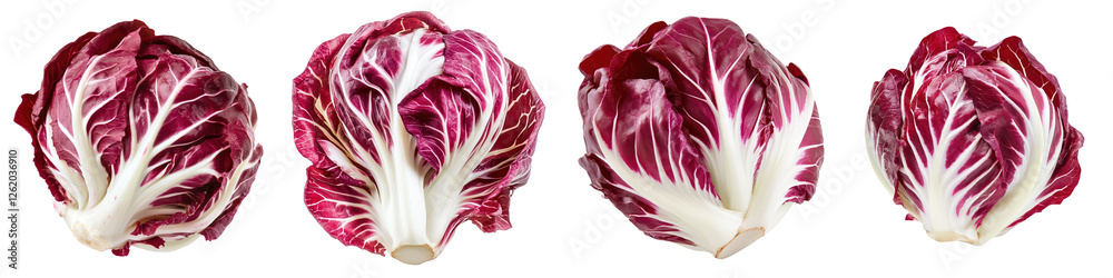 Obraz premium Fresh Radicchio Heads, isolated on transparent background.