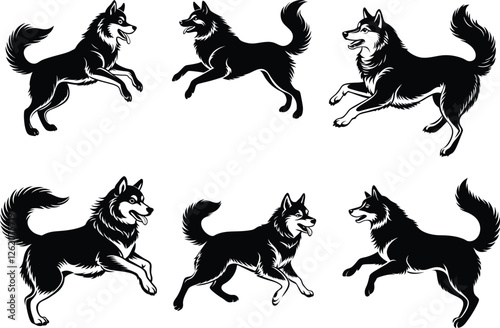 a alaskan malamute dog jumping and play silhouette vector