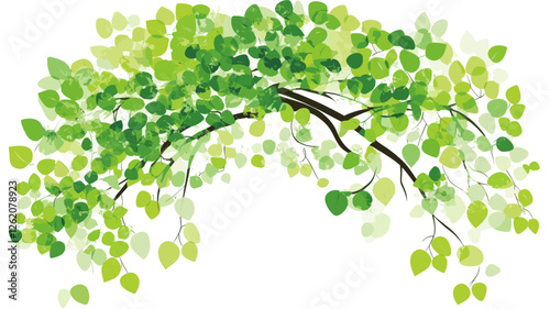 Arched Canopy of Green Leaves