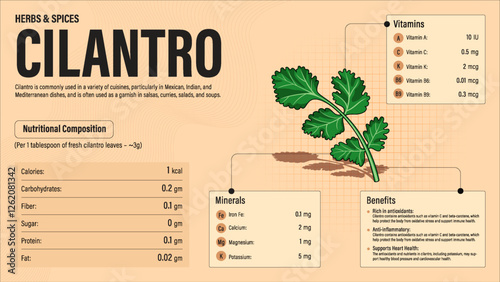 Cilantro Herb Nutrition Facts and Health Benefits–Detailed Vector Infographic for Healthy Eating and Wellness