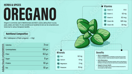 Oregano Herb Nutrition Facts and Health Benefits–Detailed Vector Infographic for Healthy Eating and Wellness