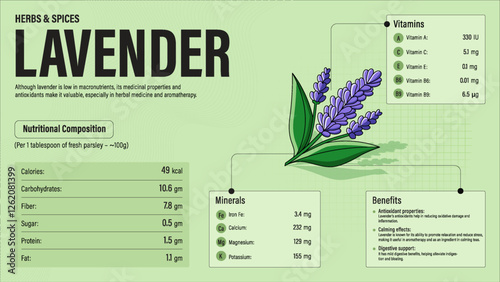 Lavender Herb Nutrition Facts and Health Benefits–Detailed Vector Infographic for Healthy Eating and Wellness