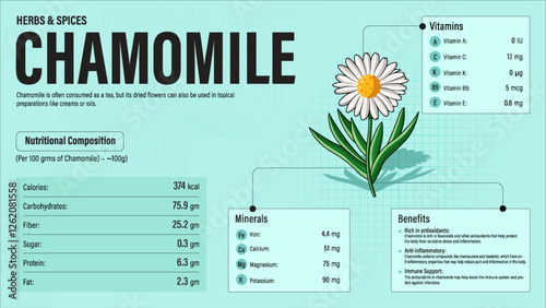Chamomile Herb Nutrition Facts and Health Benefits–Detailed Vector Infographic for Healthy Eating and Wellness