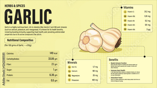 Garlic Herb Nutrition Facts and Health Benefits–Detailed Vector Infographic for Healthy Eating and Wellness