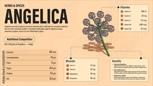 Angelica Herb Nutrition Facts and Health Benefits–Detailed Vector Infographic for Healthy Eating and Wellness