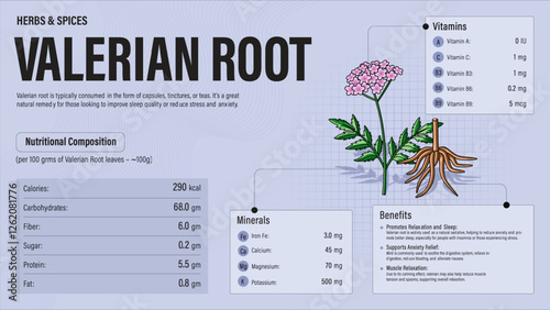 Valerian Root Herb Nutrition Facts and Health Benefits–Detailed Vector Infographic for Healthy Eating and Wellness