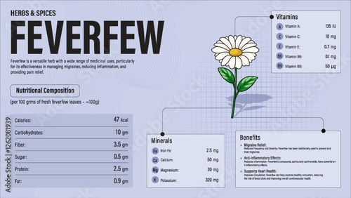 Feverfew Herb Nutrition Facts and Health Benefits–Detailed Vector Infographic for Healthy Eating and Wellness