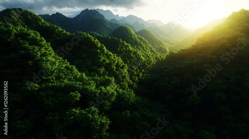 Italian Forest Panoramic View at Dawn photo