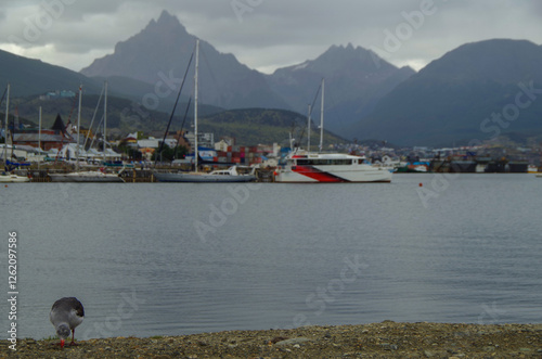 Panoramic scenic nature landscape cityscape scenery in Ushuaia, Patagonia in Terra del Fuego National Park in South America Argentina with breathtaking mountain view and city skyline harbor port photo