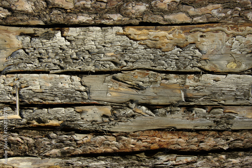 Amazingly beautiful texture of the board. Old retro board. Beautiful pattern of the board with bark. Close-up. Amazingly beautiful texture of the board. Old retro board. Beautiful pattern of the board with bark. Close-up.