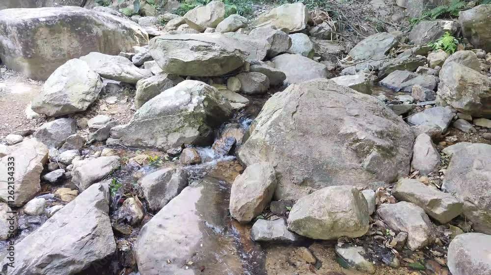 Tranquil Mountain Stream Flowing Through Rocks with Melodious Water Sounds Tranquil Mountain Stream Flowing Through Rocks with Melodious Water Sounds