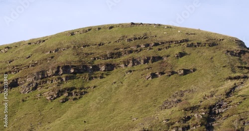 Long shot of sheep on bryn du in the Brecon Beacons, Bannau Brycheiniog. photo