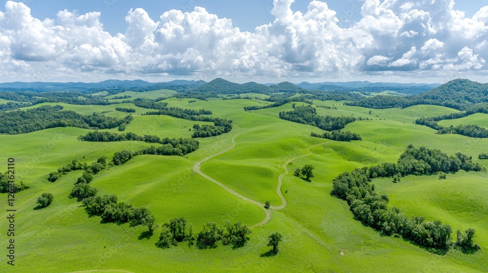 Fototapeta premium Aerial view rolling green hills, sunny day, pastoral landscape, travel brochure