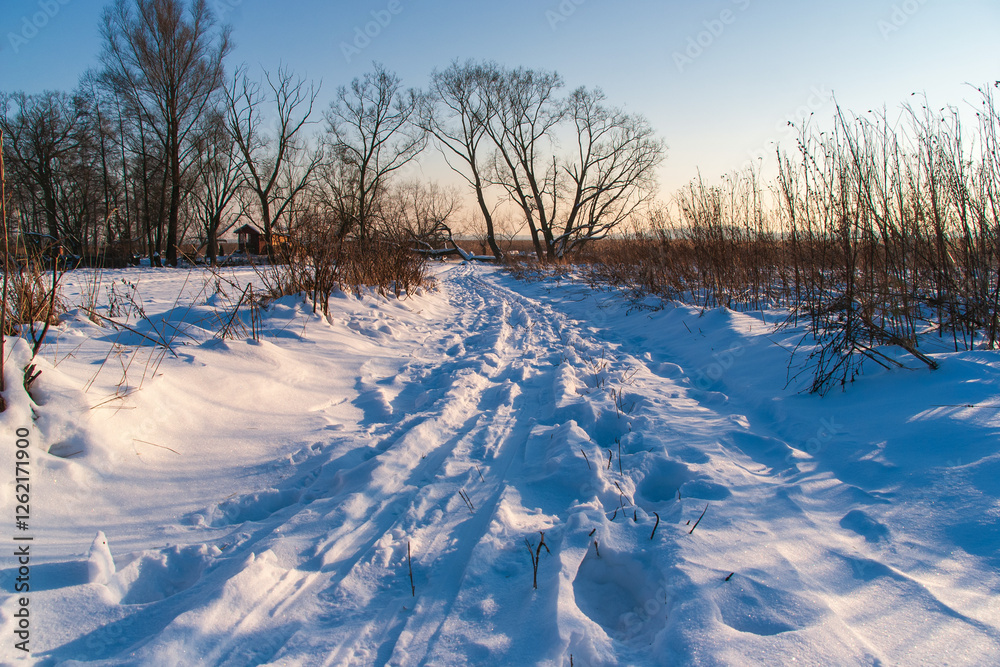 Zima w Narwiańskim Parku Narodowym - Podlasie, Polska