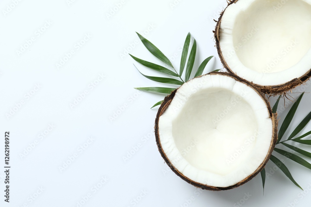 Coconut on white background, top view Coconut on white background, top view