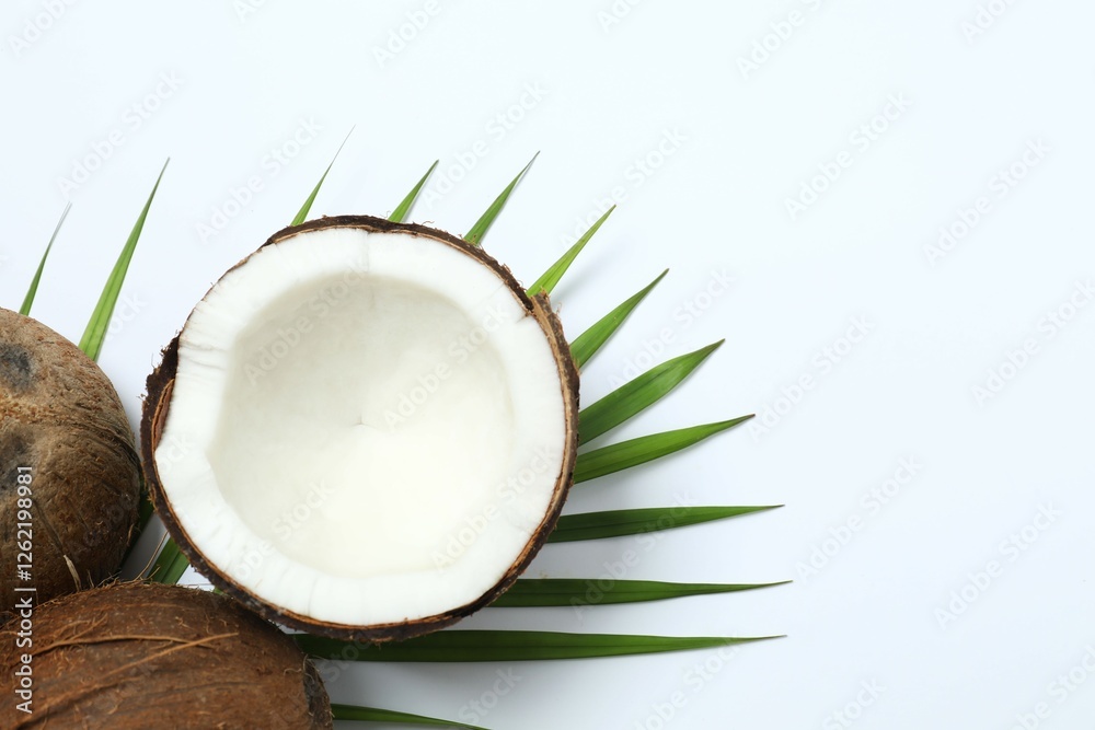Coconut on white background, top view Coconut on white background, top view