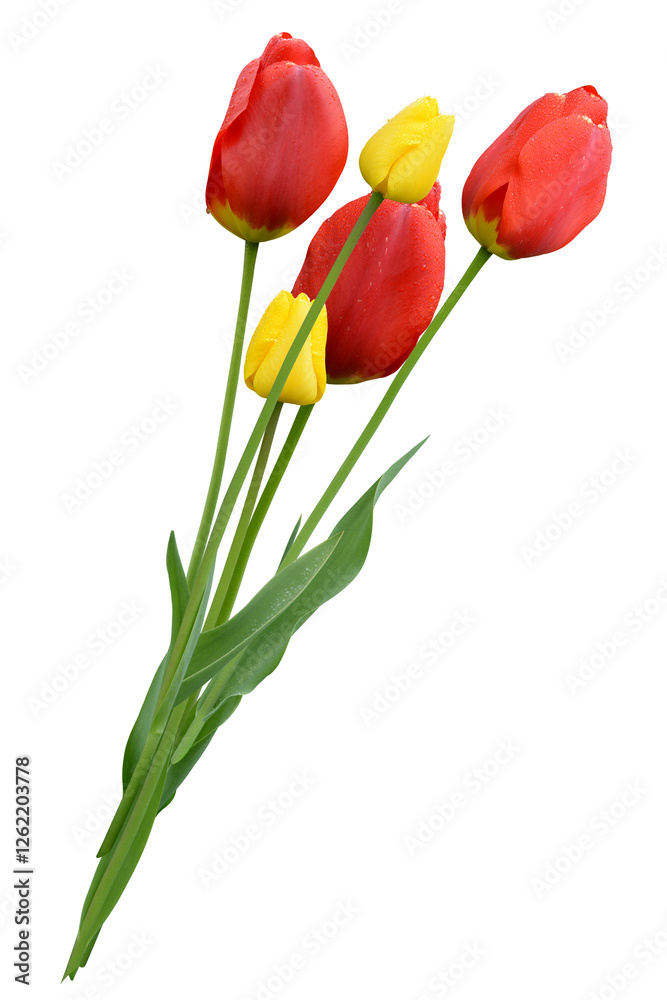 Blumen 1537 Blumen 1537