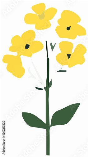 Minimalist canola flower illustration, flat vector