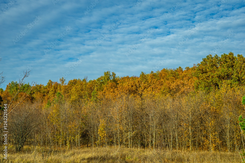 warm autumn in rural areas