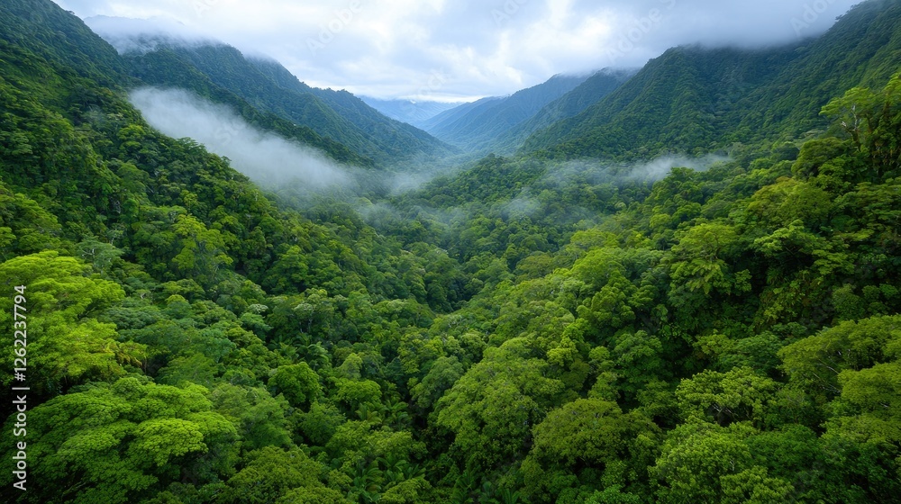 Obraz premium Lush green mountain valley, mist, aerial view, nature