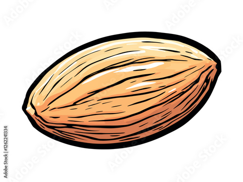 Vsai whole almond isolated showing detailed texture and shape