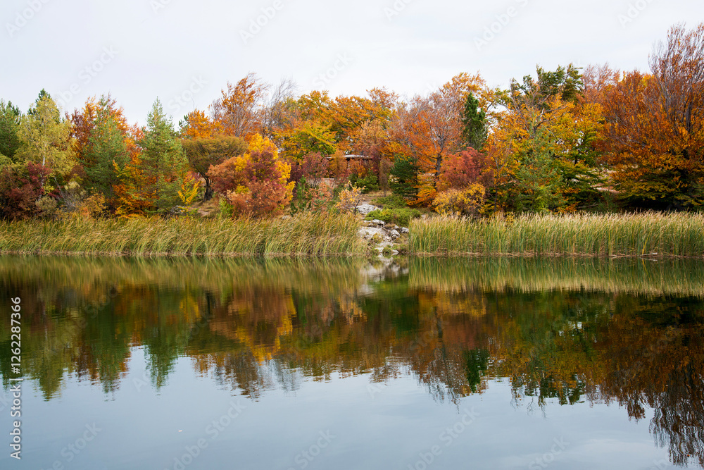 Peaceful and colorful autumn landscape with beautiful reflections in the lake. Peaceful and colorful autumn landscape with beautiful reflections in the lake.