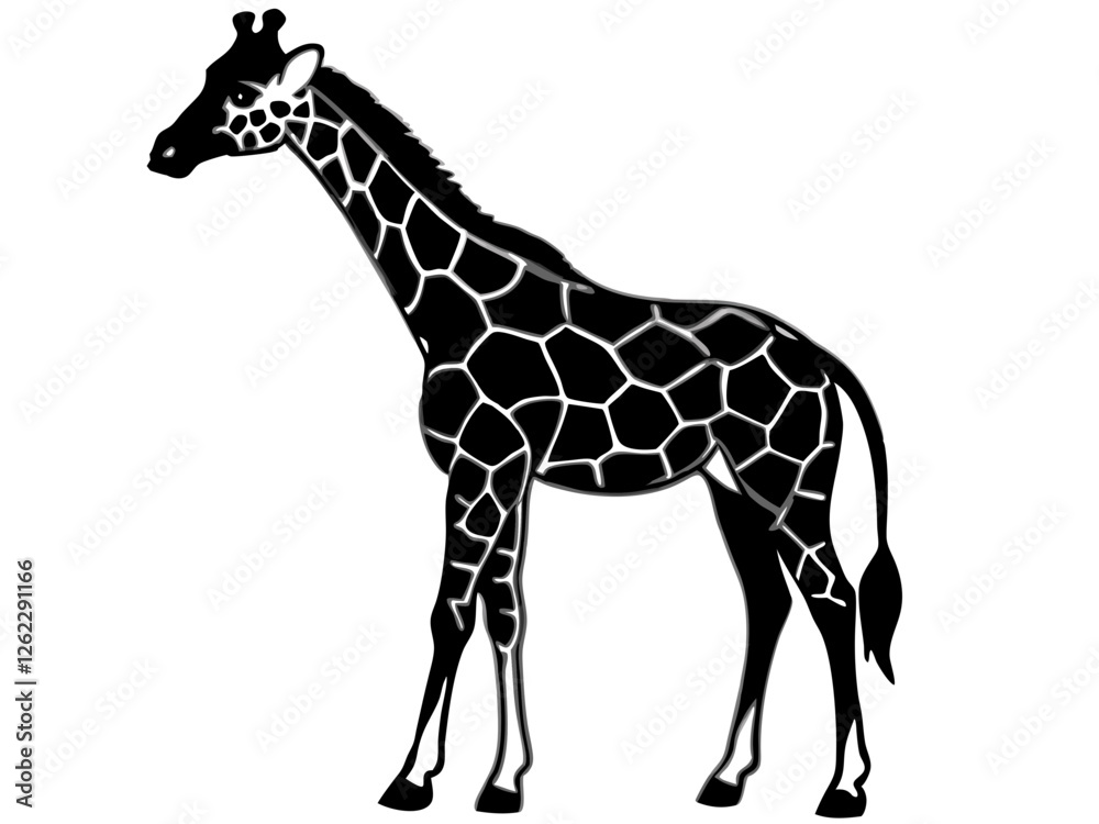 Naklejka premium giraffe isolated on white