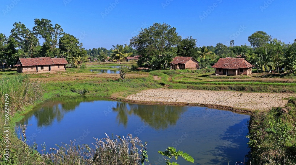 Fototapeta premium Rural village landscape, ponds, and rice paddies under a clear sky