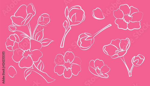 Set line illustrations sakura flowers and branches. Cherry blossoms. Line art. Hanami, cherry blossom festival.