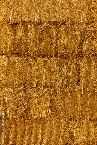 Obraz na płótnie Baled straw detail. Harvest. Animal food. Agricultural background. Vertical w salonie