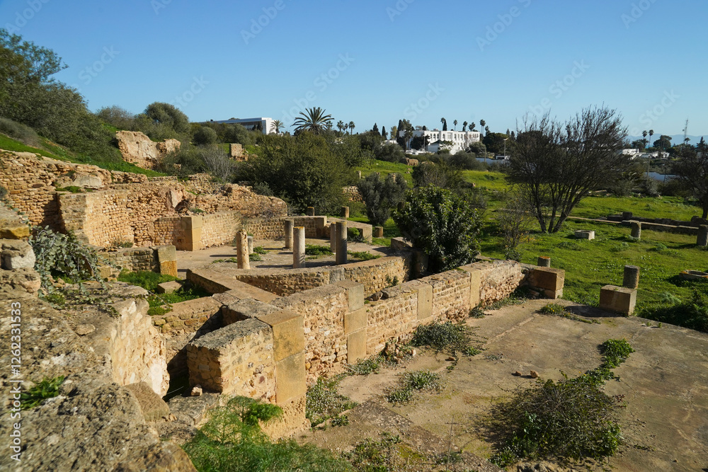 Il complesso archeologico con i resti dell'antica città punica di Cartagine. TUNISIA, Area archeologica di Cartagine. Cartagine, Tunisia, Nord Africa Il complesso archeologico con i resti dell'antica città punica di Cartagine. TUNISIA, Area archeologica di Cartagine. Cartagine, Tunisia, Nord Africa