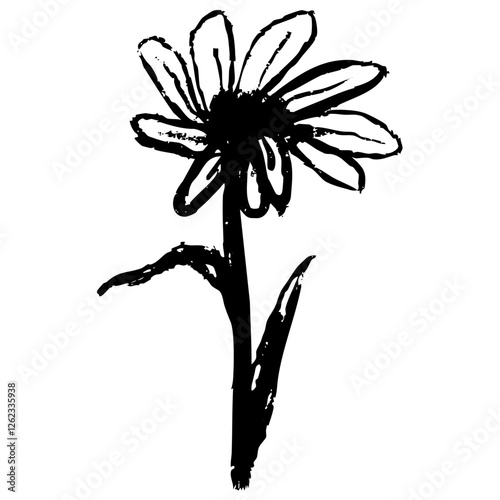 Ink marker gouache flowers hand drawn sketches illustrations. Dry brush stroke simple minimalistic floral doodles isolated on white for cosmetics, kid education.