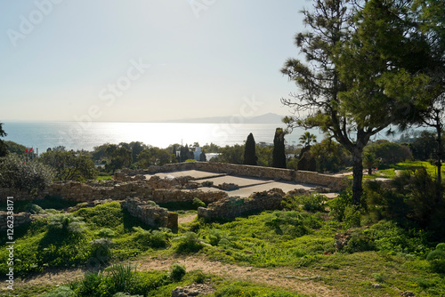 Il complesso archeologico con i resti dell'antica città punica di Cartagine. TUNISIA, Area archeologica di Cartagine. Cartagine, Tunisia, Nord Africa
