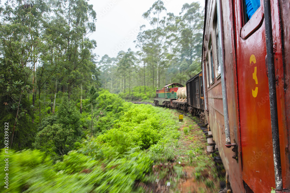 Naklejka premium The high mountain train that travels is located in Sri Lanka
