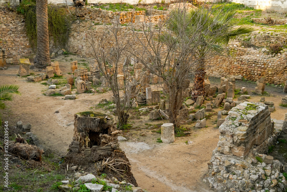 Il complesso archeologico con i resti del Santuario punico del Tophet Salammbo dell'antica Cartagine, Cartagine, TUNISIA, Area archeologica di Cartagine,. Cartagine, Tunisia, Nord Africa Il complesso archeologico con i resti del Santuario punico del Tophet Salammbo dell'antica Cartagine, Cartagine, TUNISIA, Area archeologica di Cartagine,. Cartagine, Tunisia, Nord Africa