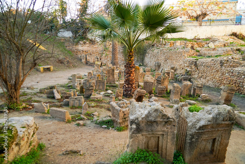 Il complesso archeologico con i resti del Santuario punico del Tophet Salammbo dell'antica Cartagine, Cartagine, TUNISIA, Area archeologica di Cartagine,. Cartagine, Tunisia, Nord Africa photo