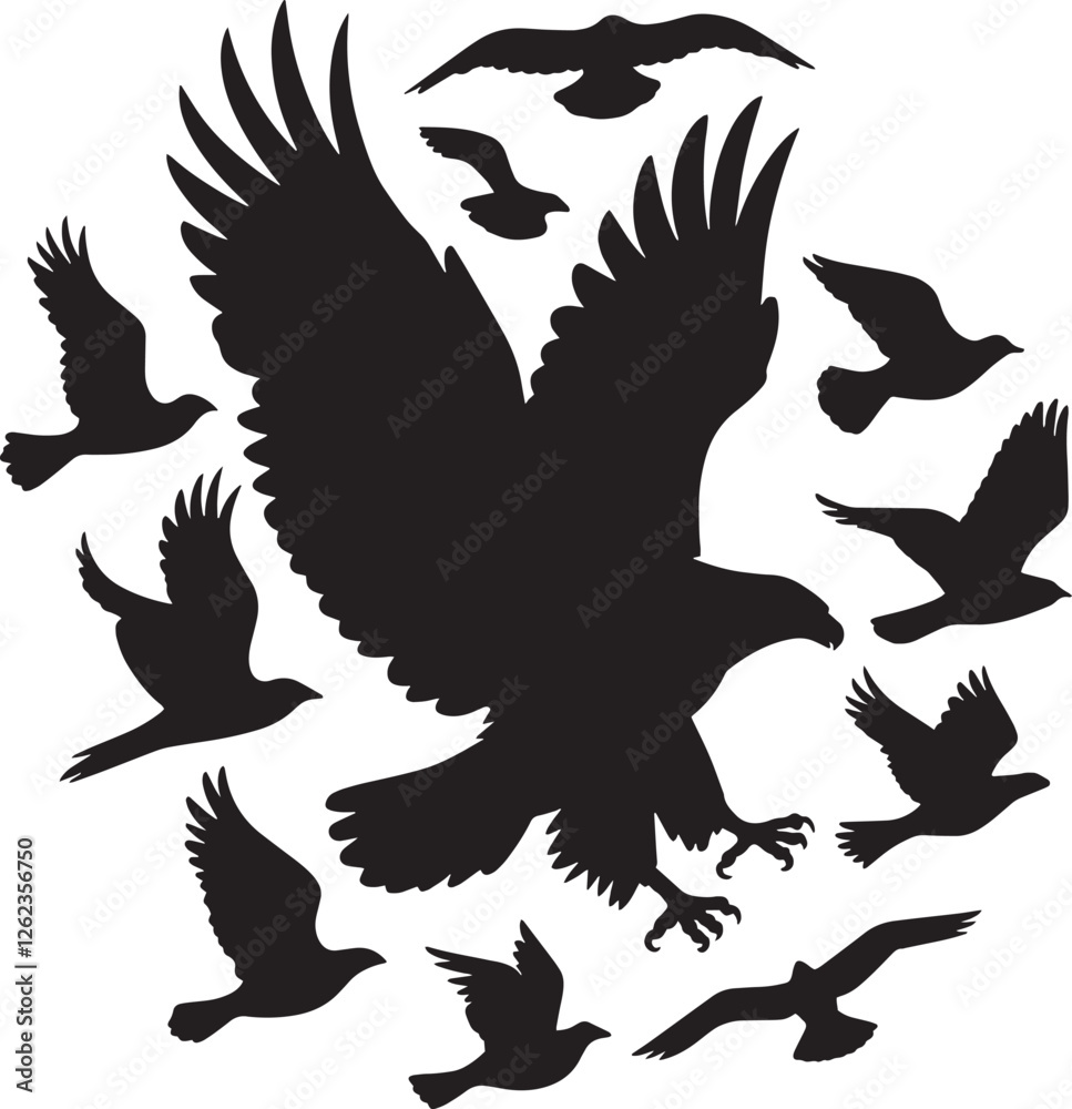 Obraz premium Flying Bald Eagle black and white Silhouette vector, A Bald Eagle black Silhouette Vector design.
